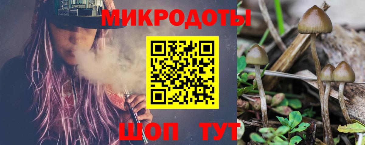 Ростов-на-Дону  Галлюциногенные грибы мицелий  Вход с VPN  Галлюциногенные грибы Psilocybe 